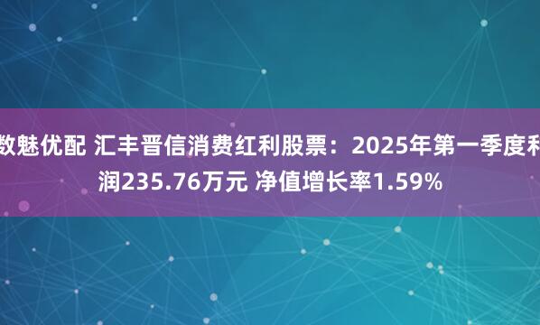 数魅优配 汇丰晋信消费红利股票：2025年第一季度利润235.76万元 净值增长率1.59%