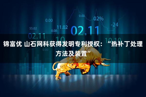 锦富优 山石网科获得发明专利授权：“热补丁处理方法及装置”